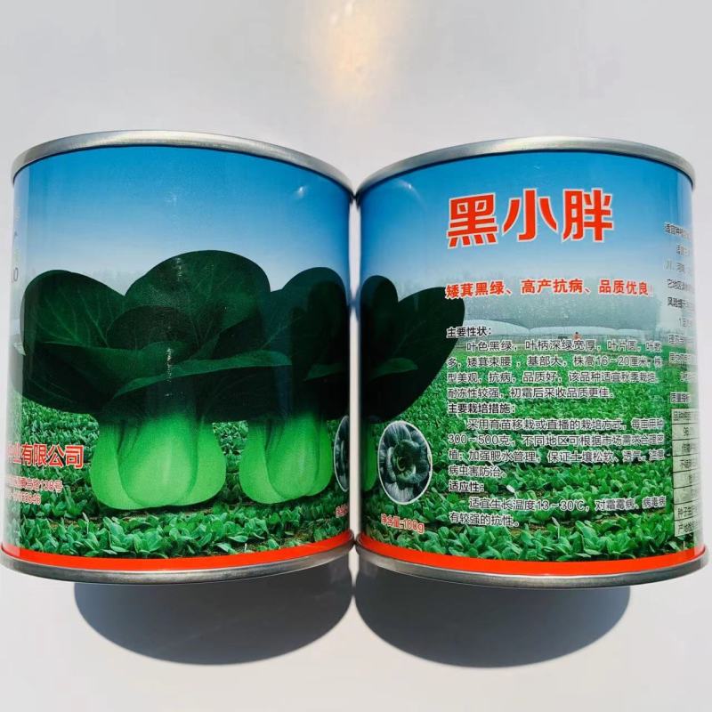 青硕黑小胖青梗菜种子黑叶苏州青种子矮萁黑绿青菜种籽油菜种