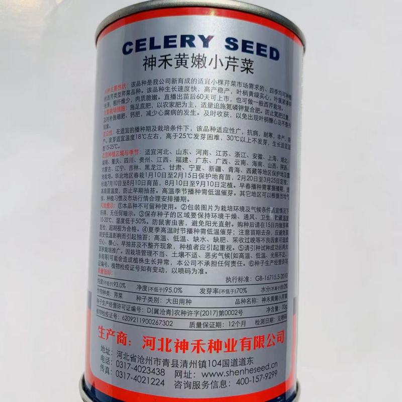 四季速生黄嫩小香芹种子纤维少直立性强清香实心芹菜种子