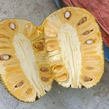 精品推荐海南菠萝蜜大量有货一手货源全国发货