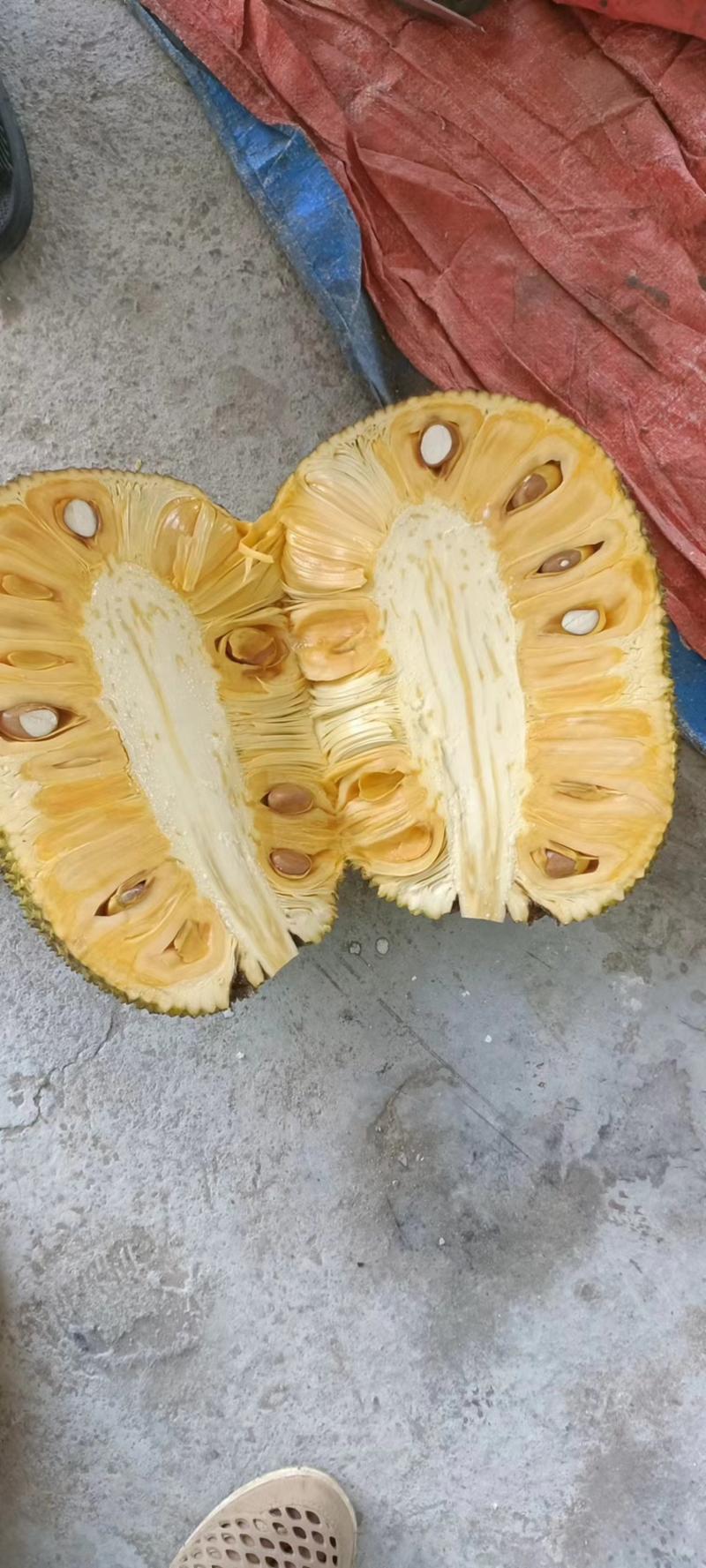 精品推荐海南菠萝蜜大量有货一手货源全国发货