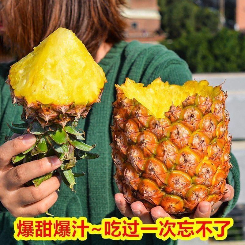 【电商源头】海南金钻凤梨-新鲜应季水果非菠萝手撕凤梨