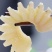 牛鞭花精品牛鞭开袋即涮餐饮直供火锅食材烧烤冒菜串串牛鞭花