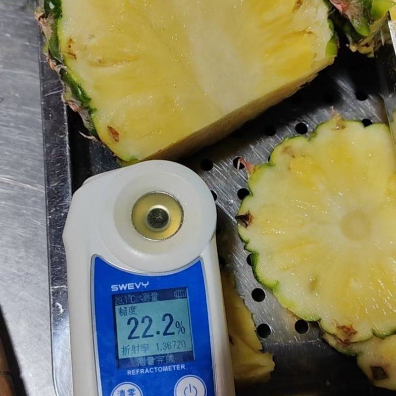 高品质金钻凤梨，17号凤梨。