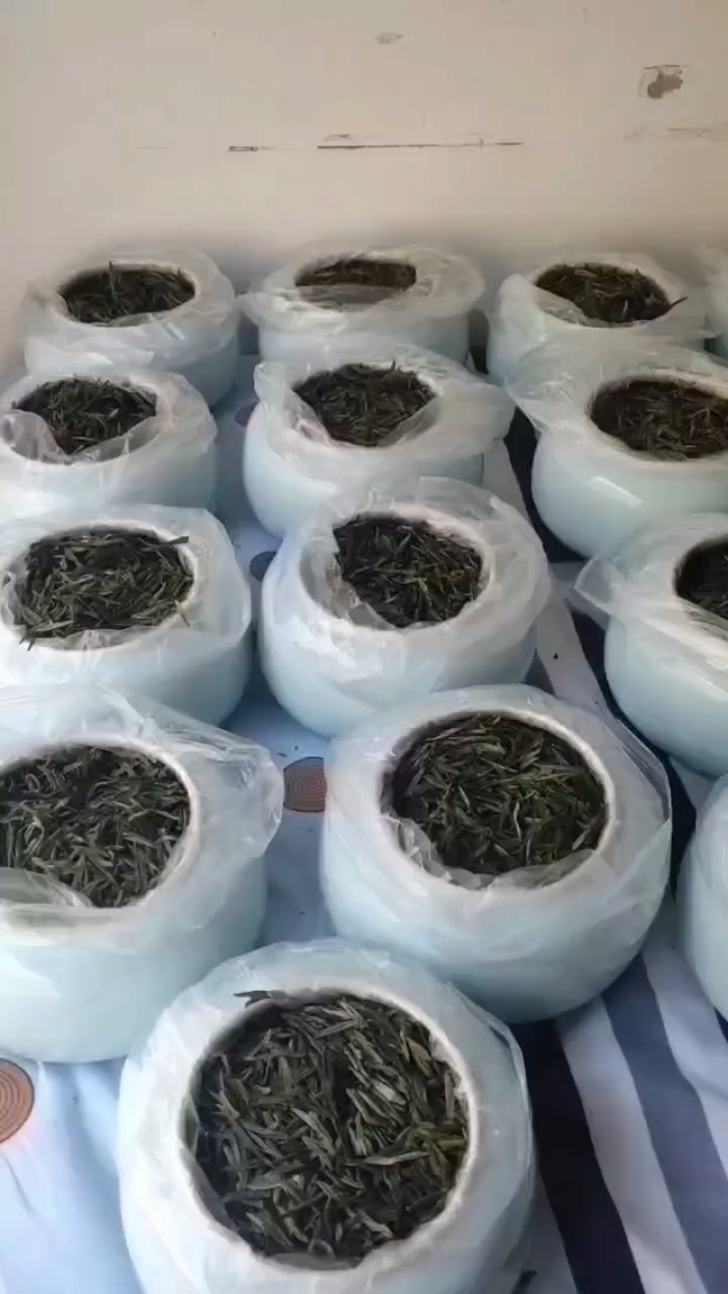 象元碧螺春，栗香浓郁，汤色清澈，回味持久，，深受欢迎