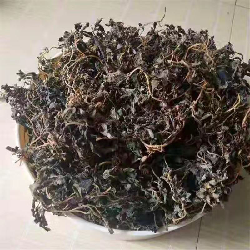 纯手工晾晒干马齿苋