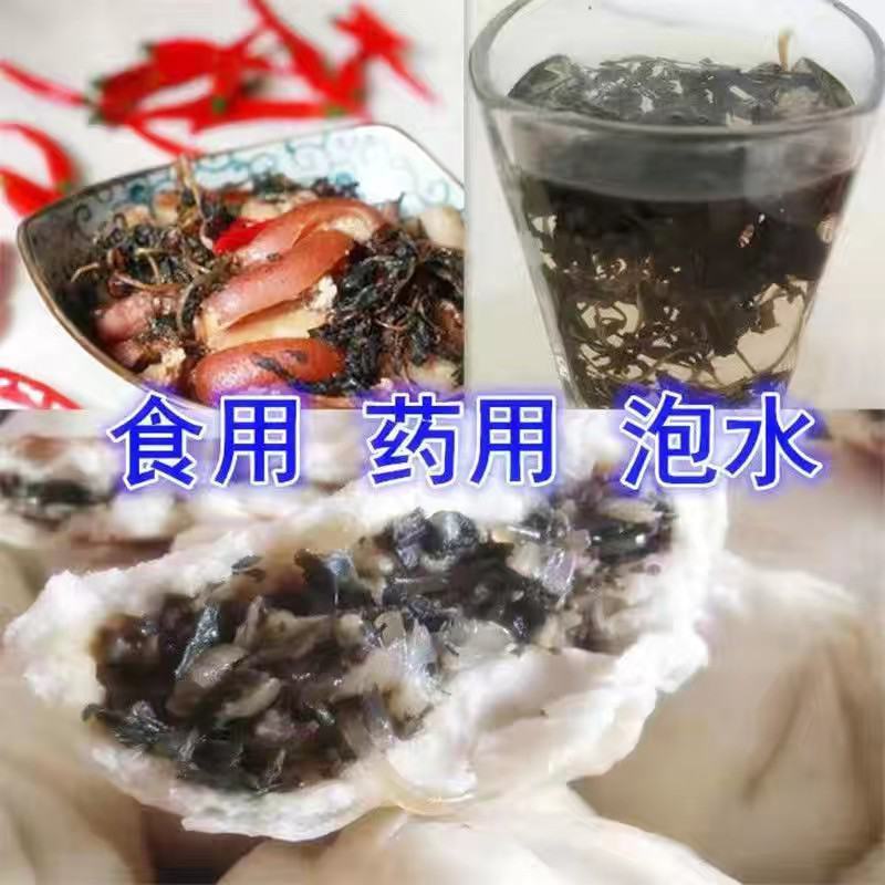 纯手工晾晒干马齿苋