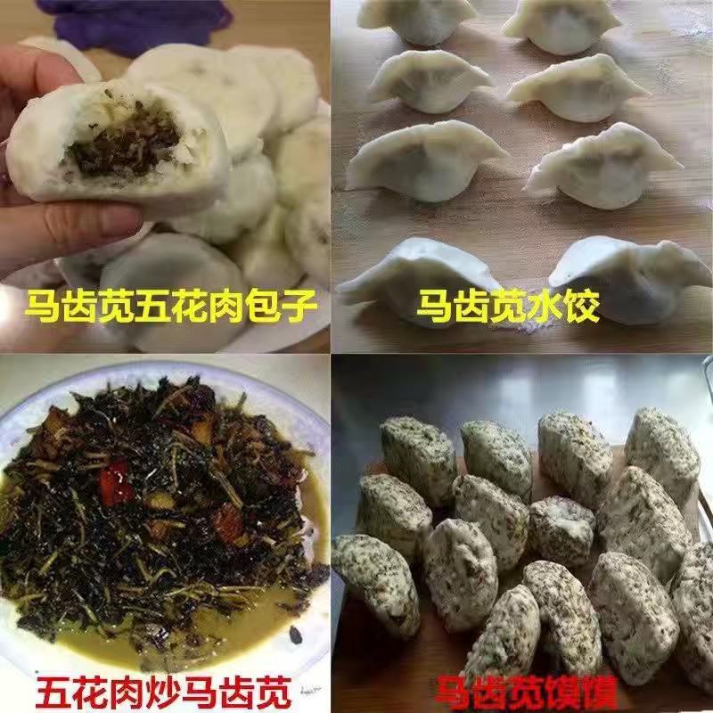 纯手工晾晒干马齿苋
