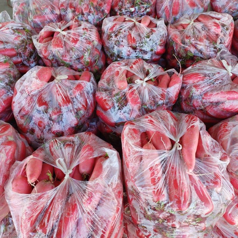 红皮水萝卜大量上市
