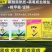 彩雷68%精甲霜锰锌番茄晚疫病黄瓜霜霉病疫病黑胫病干悬浮