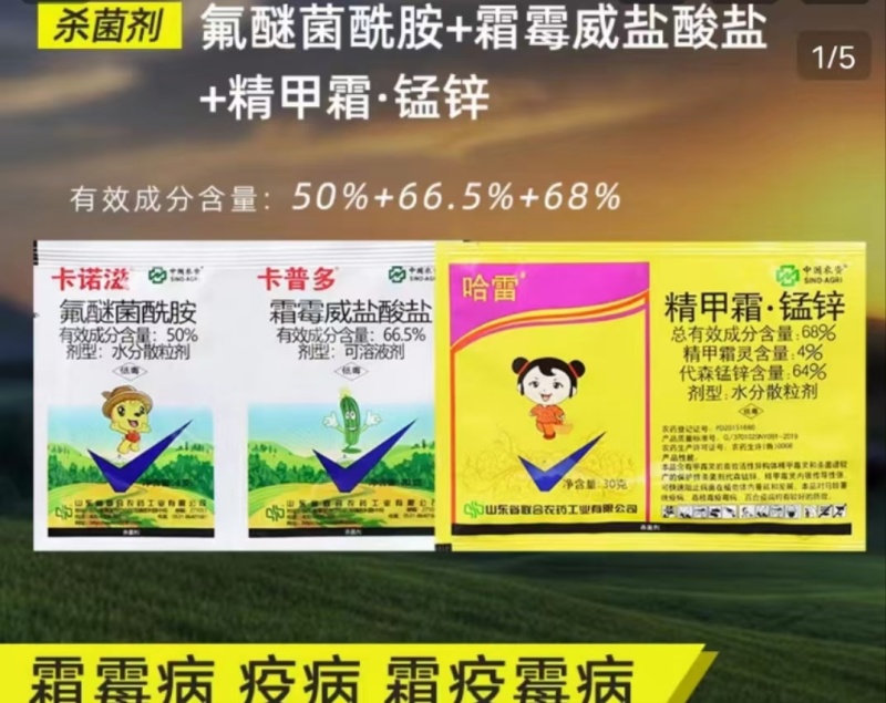 彩雷68%精甲霜锰锌番茄晚疫病黄瓜霜霉病疫病黑胫病干悬浮