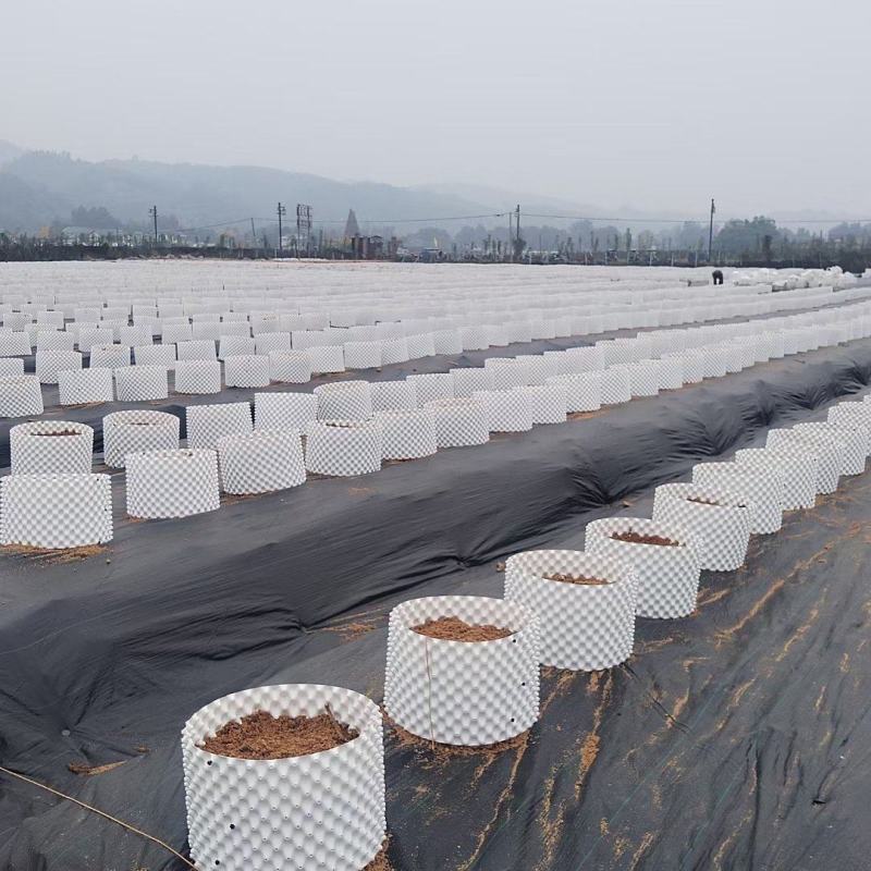 蓝色控根器、白色控根器，双面光质量，高韧性，年后发货