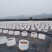 蓝色控根器、白色控根器，双面光质量，高韧性，年后发货