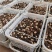 2024头茬羊肚菌，羊肚菌产地直售