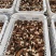 2024头茬羊肚菌，羊肚菌产地直售