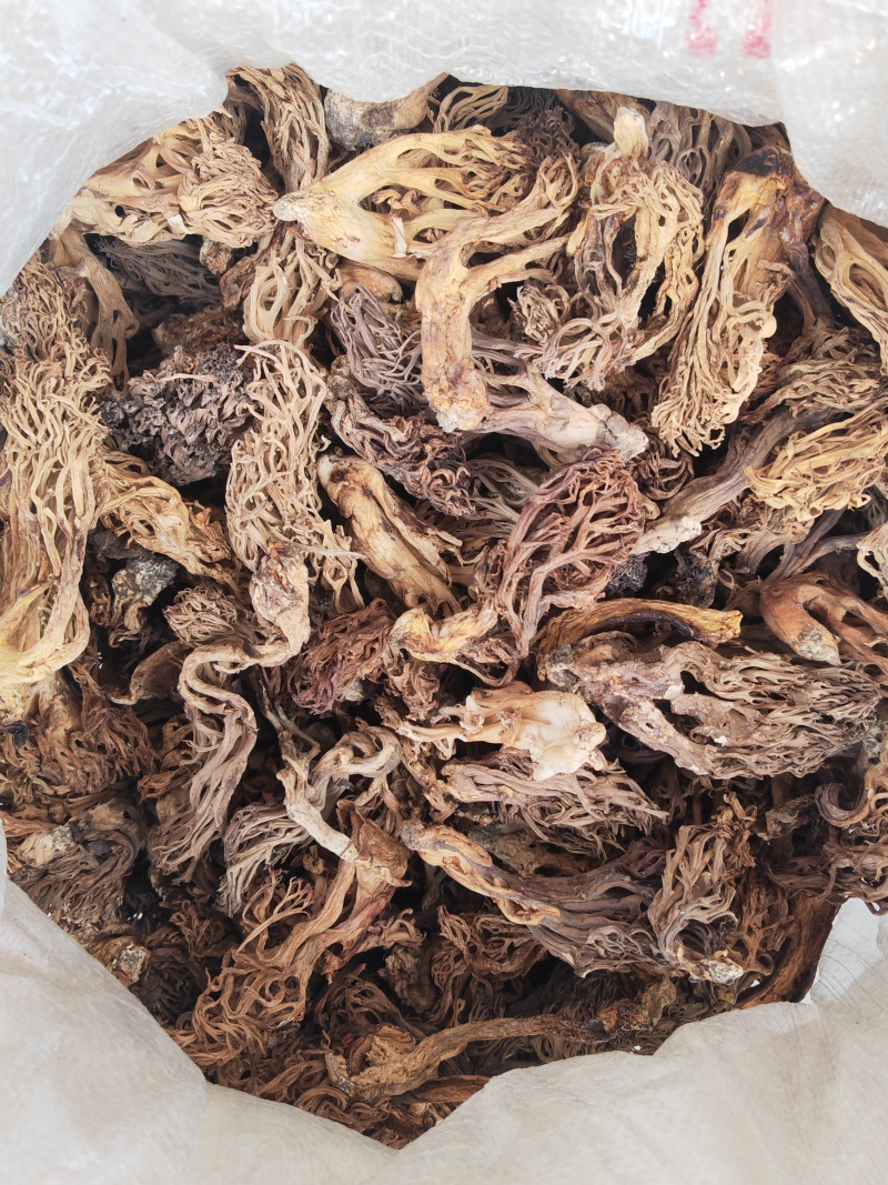 珊瑚菌，又叫扫把菌，刷把菌，野生菌类之一，口感好味道鲜