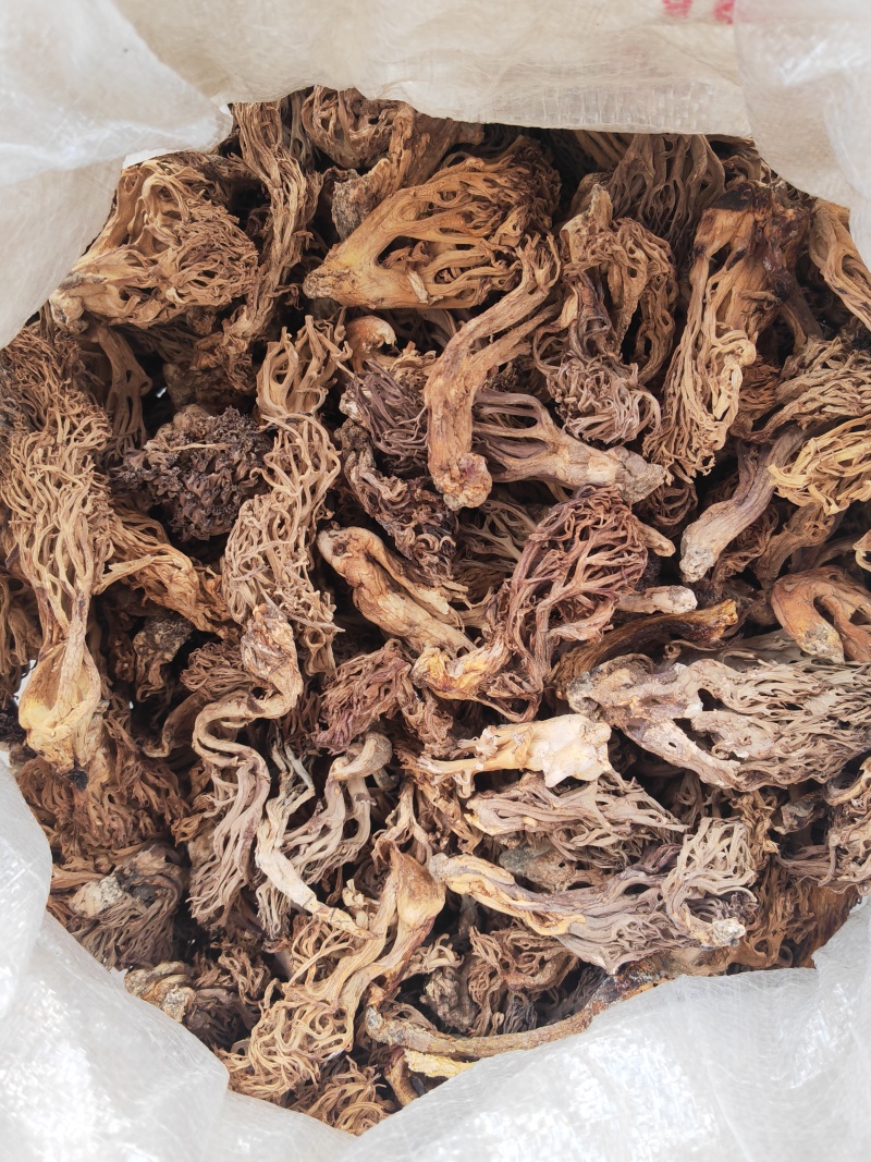 珊瑚菌，又叫扫把菌，刷把菌，野生菌类之一，口感好味道鲜
