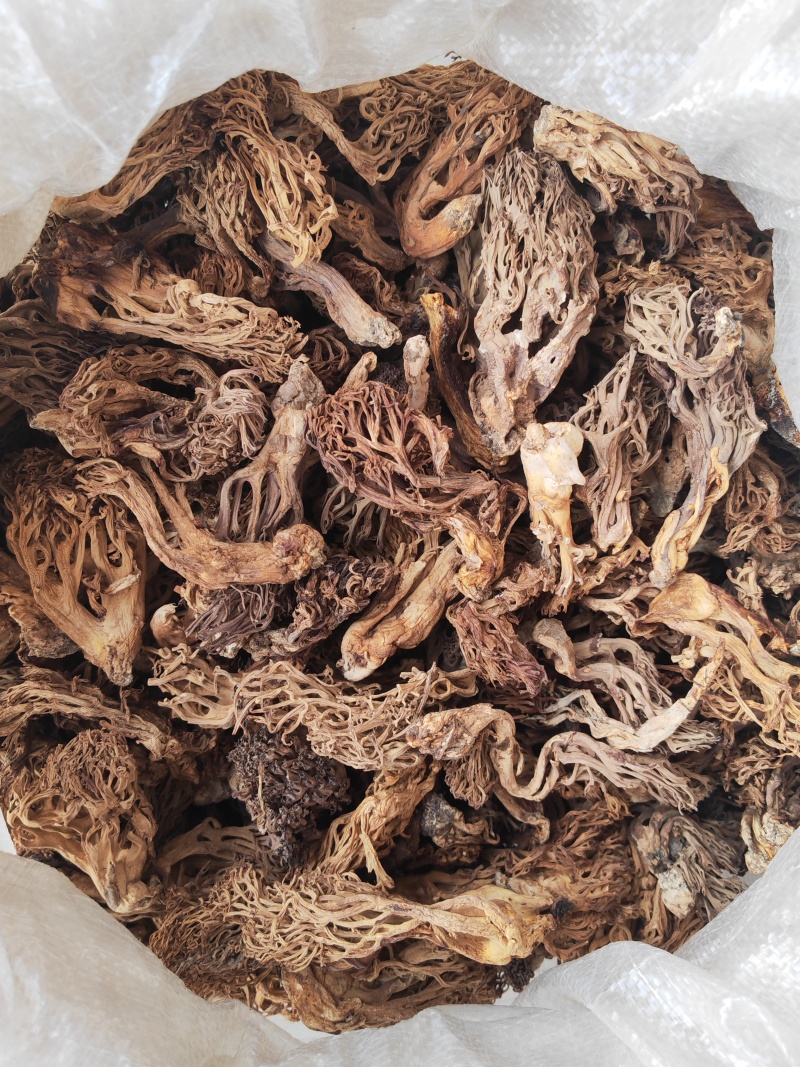 珊瑚菌，又叫扫把菌，刷把菌，野生菌类之一，口感好味道鲜
