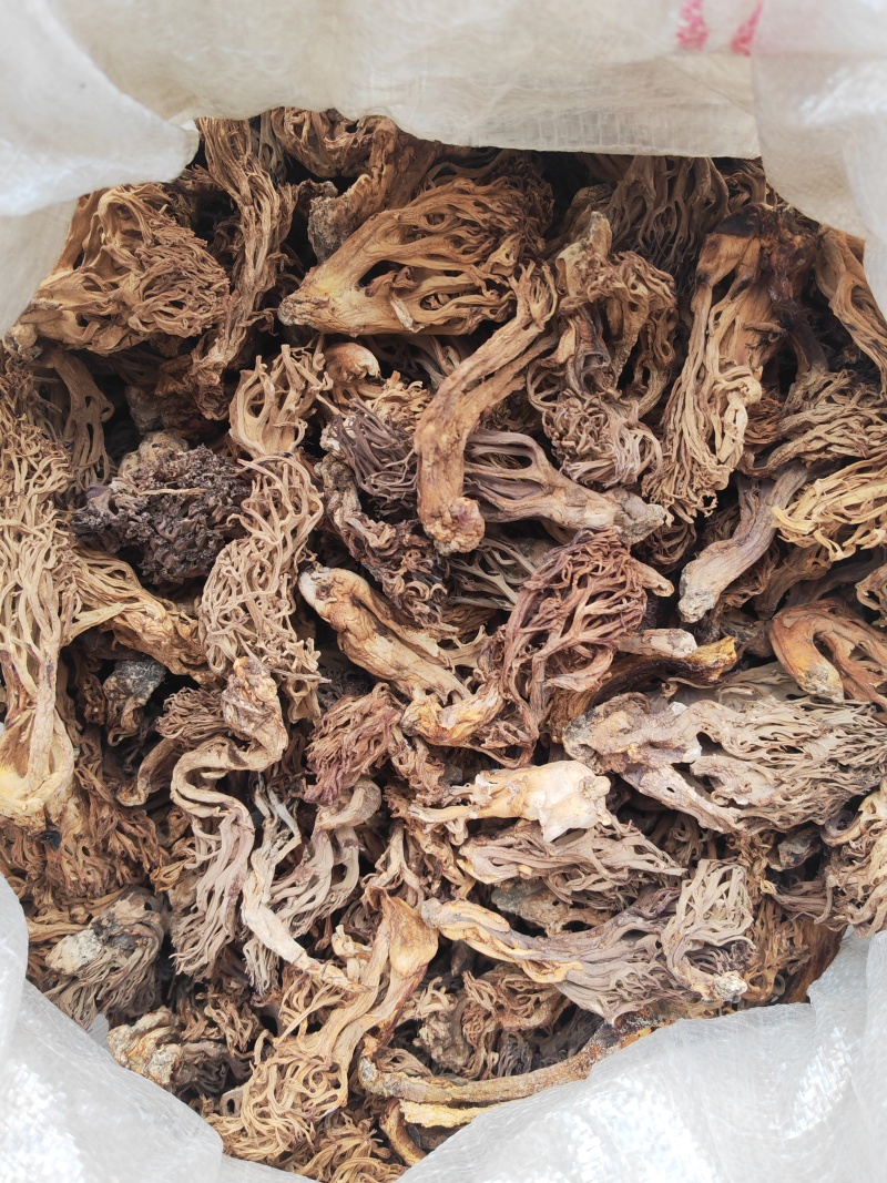 珊瑚菌，又叫扫把菌，刷把菌，野生菌类之一，口感好味道鲜