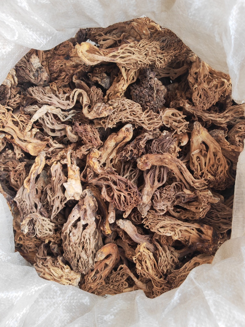 珊瑚菌，又叫扫把菌，刷把菌，野生菌类之一，口感好味道鲜