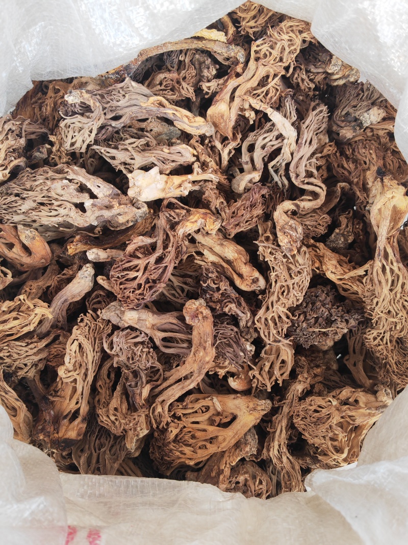 珊瑚菌，又叫扫把菌，刷把菌，野生菌类之一，口感好味道鲜
