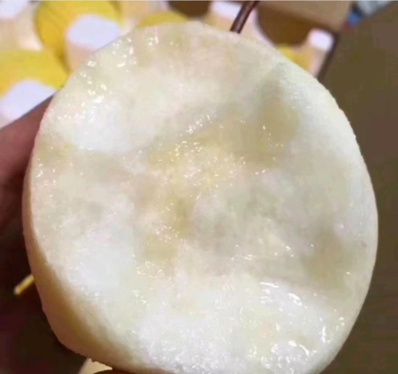 山西酥梨高次，通货大量有欢迎各大客商