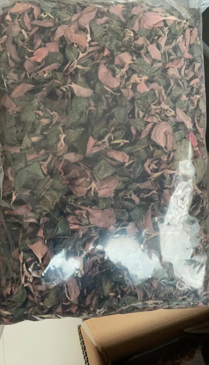福建南靖产地直销金线莲整株干品