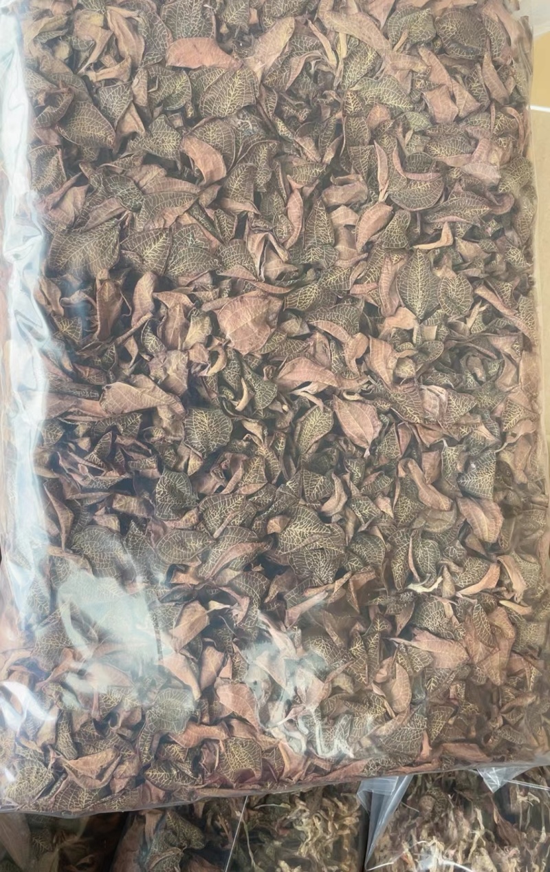 福建南靖产地直销金线莲整株干品