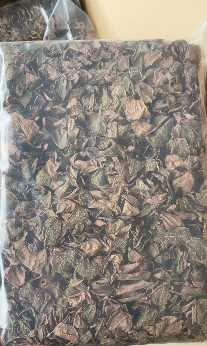 福建南靖产地直销金线莲整株干品