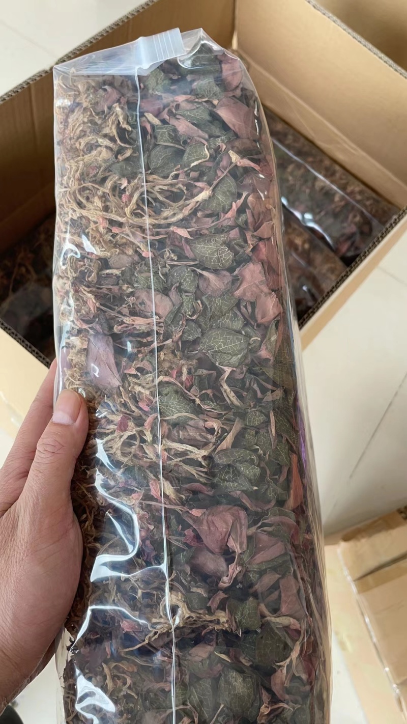 福建南靖产地直销金线莲整株干品