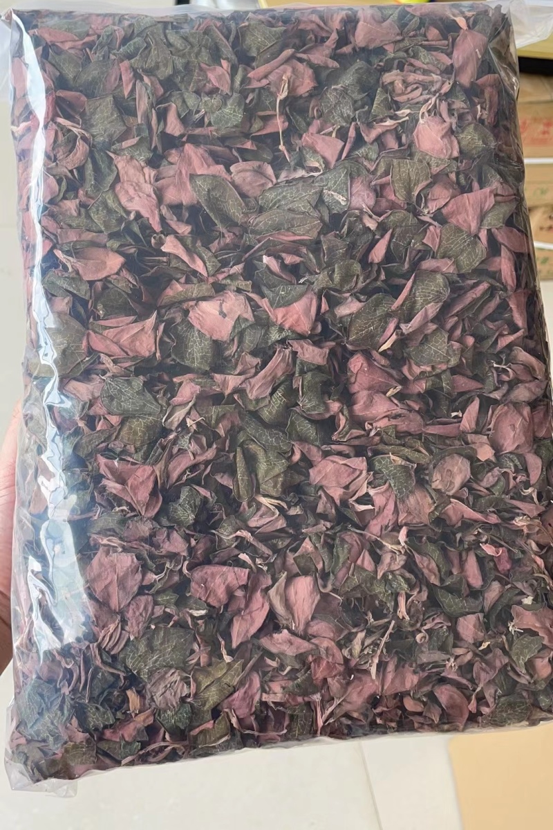 福建南靖产地直销金线莲整株干品