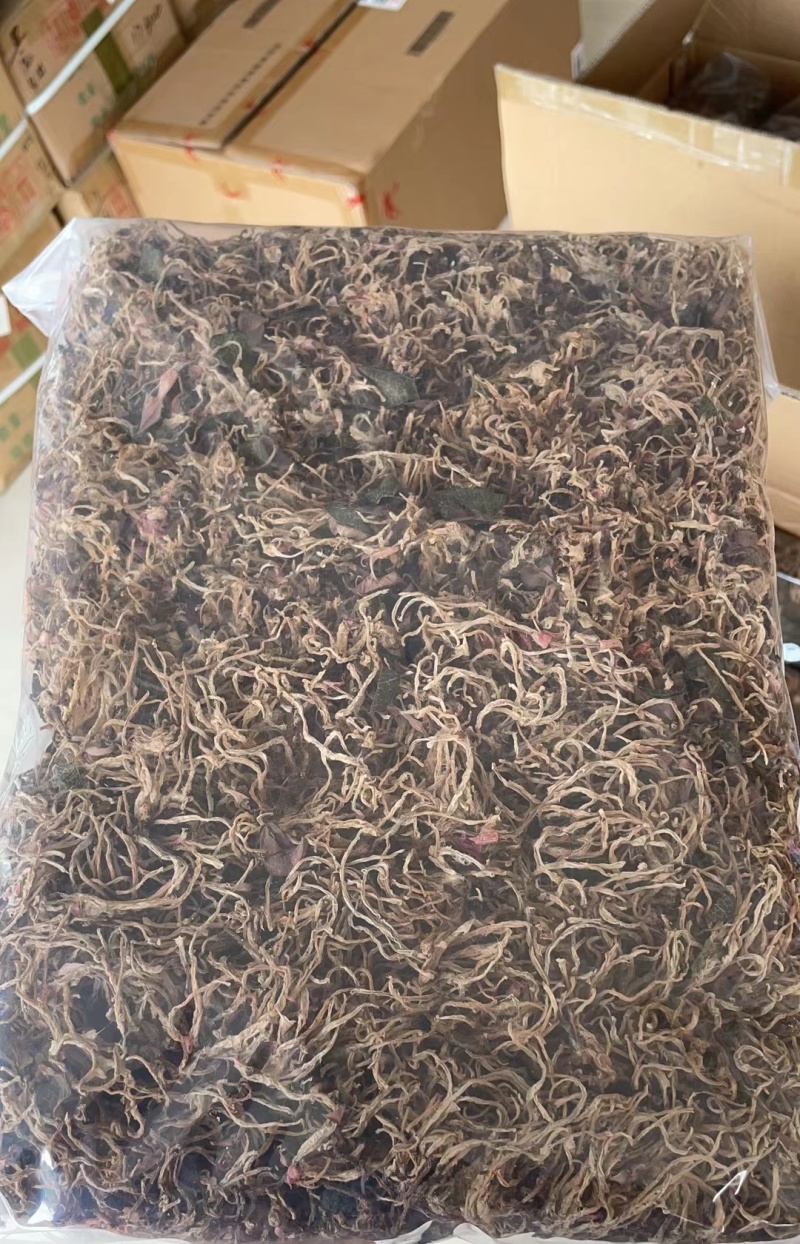 福建南靖产地直销金线莲整株干品