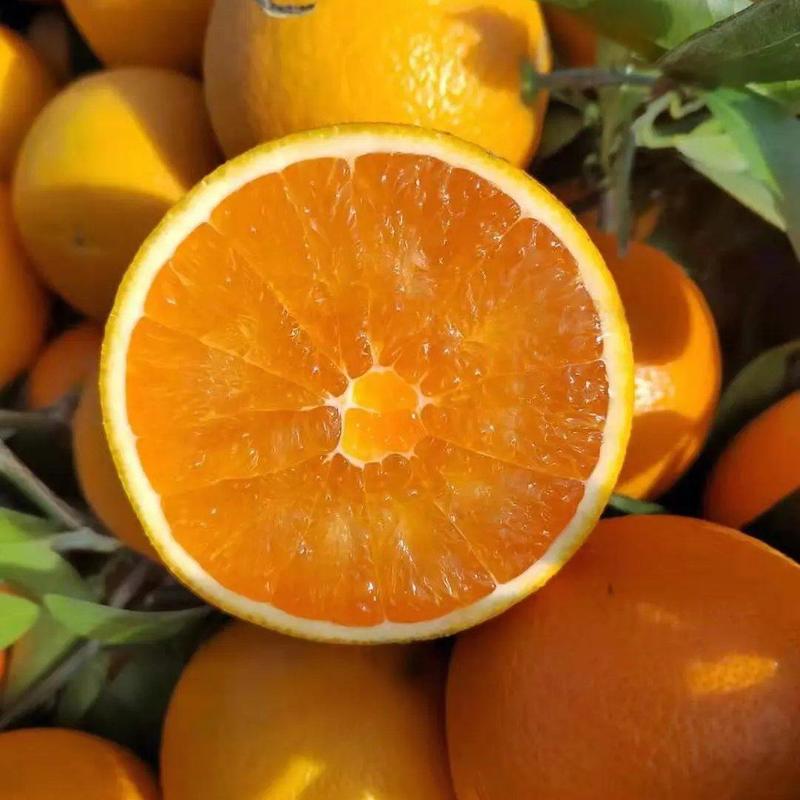 夏橙，脐橙产地直发承接商超市场电商代收代发