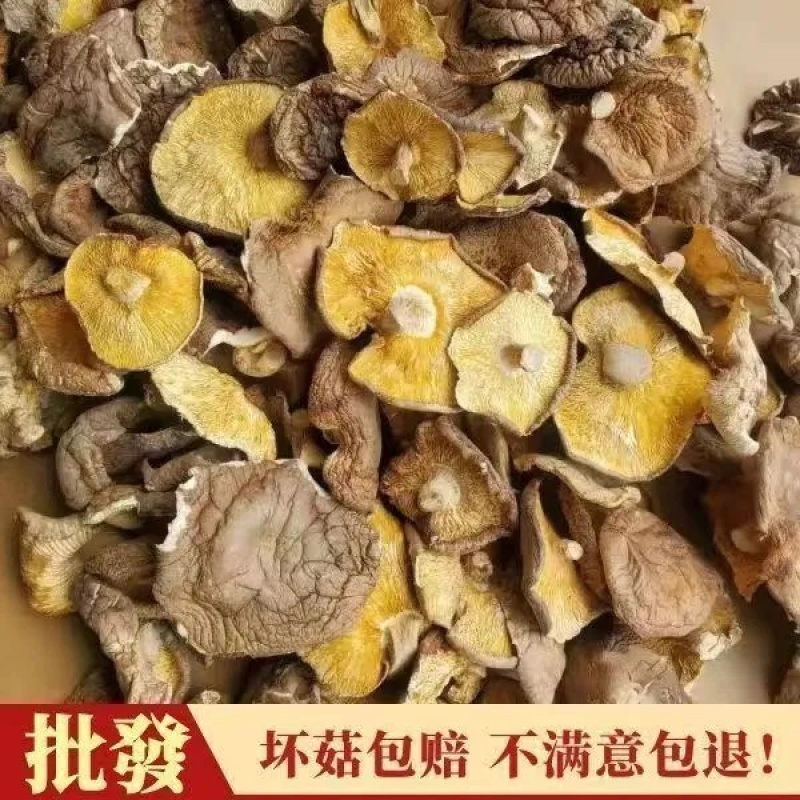 干香菇干货肉厚无根菌菇新货香菇批发净重香菇