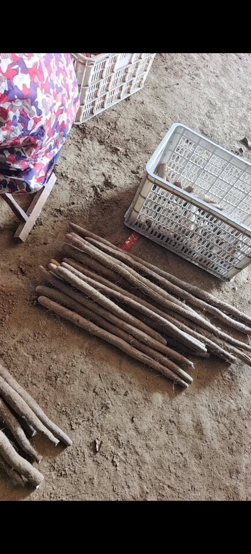 精品白玉山药，条形好口感面甜，价格优惠全国可发