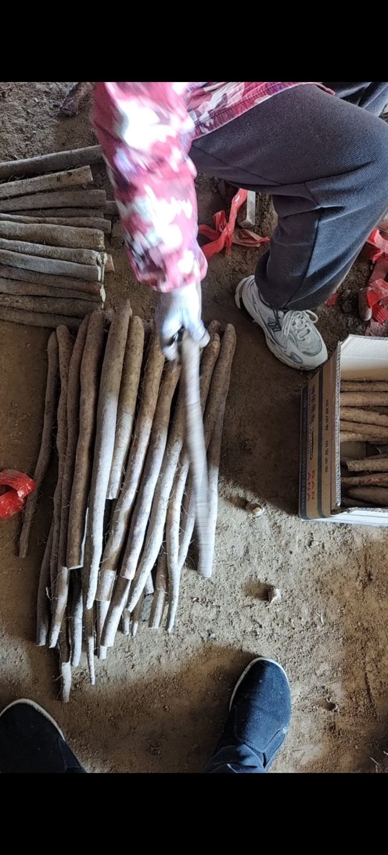精品白玉山药，条形好口感面甜，价格优惠全国可发