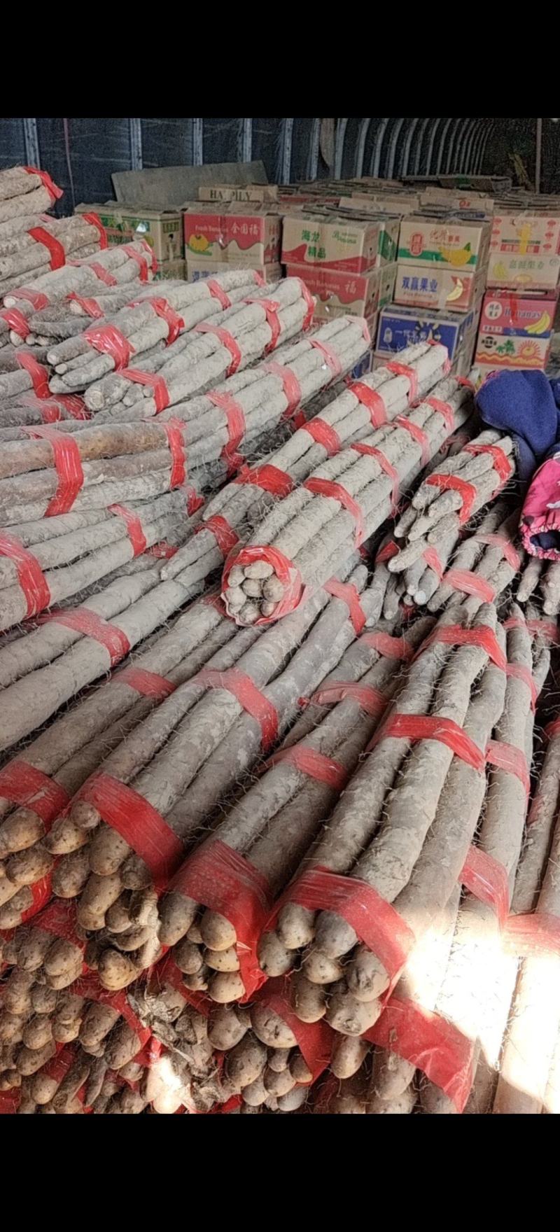 精品白玉山药，条形好口感面甜，价格优惠全国可发