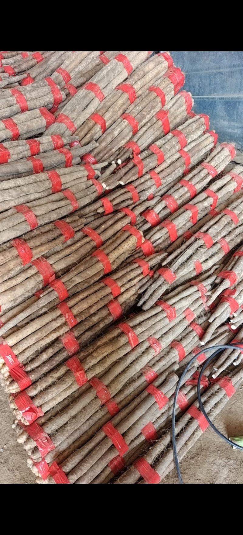 精品白玉山药，条形好口感面甜，价格优惠全国可发
