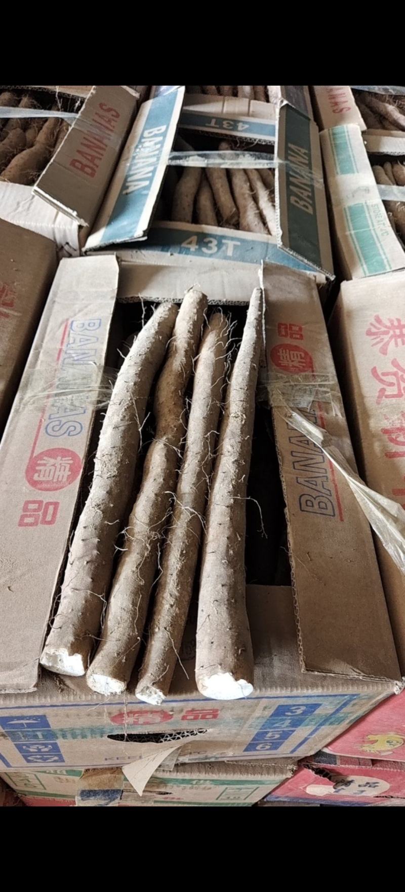 山药社区团购电商多多买菜美团优选！供应一件定制！