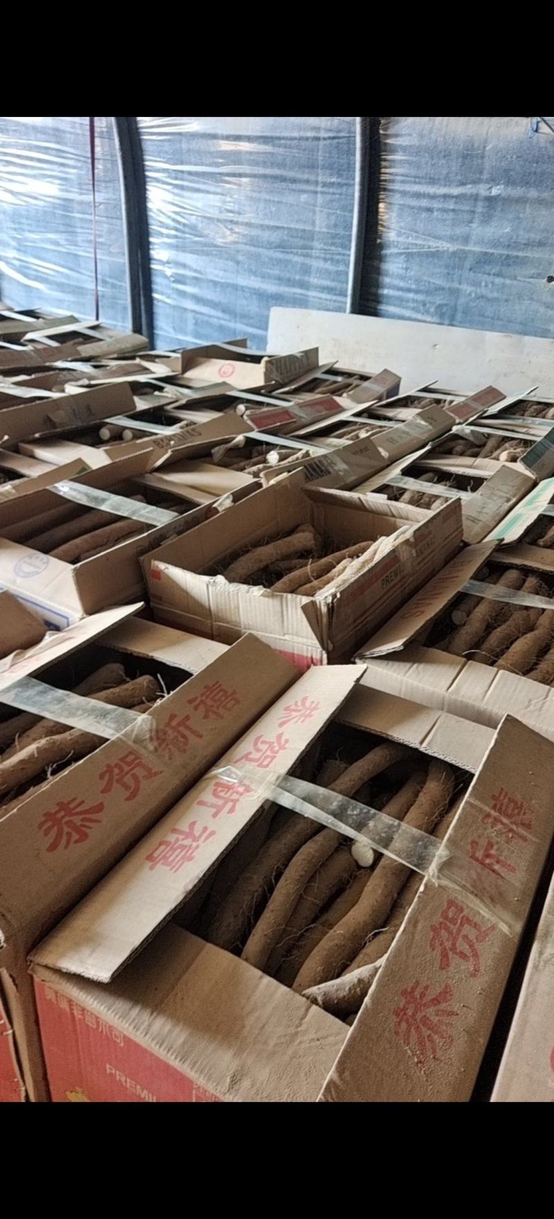山药社区团购电商多多买菜美团优选！供应一件定制！