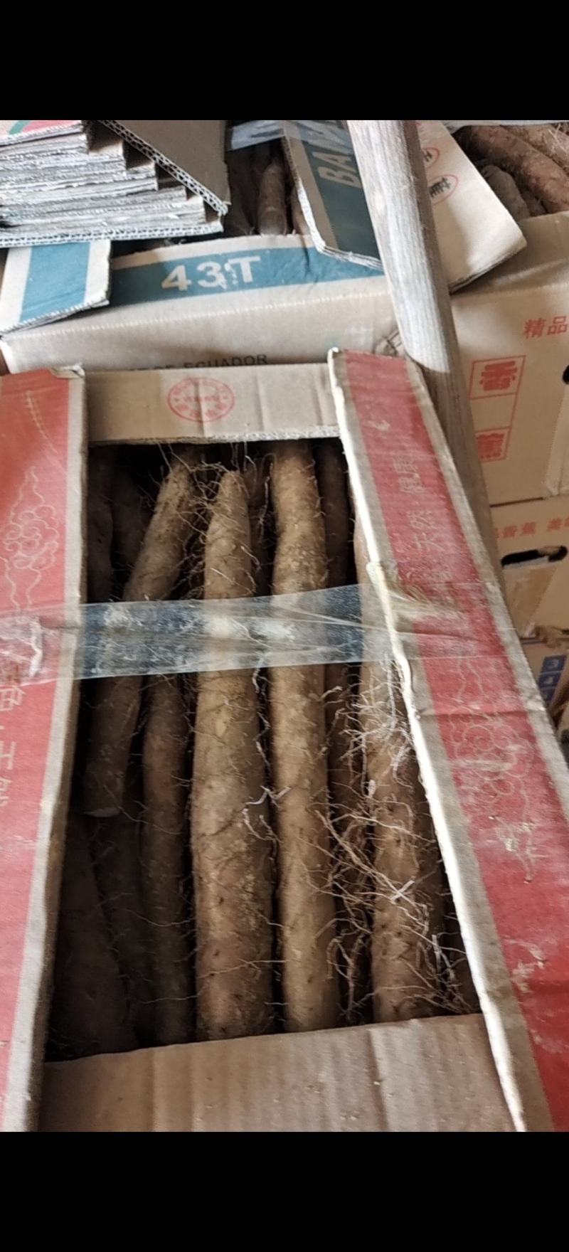 山药社区团购电商多多买菜美团优选！供应一件定制！