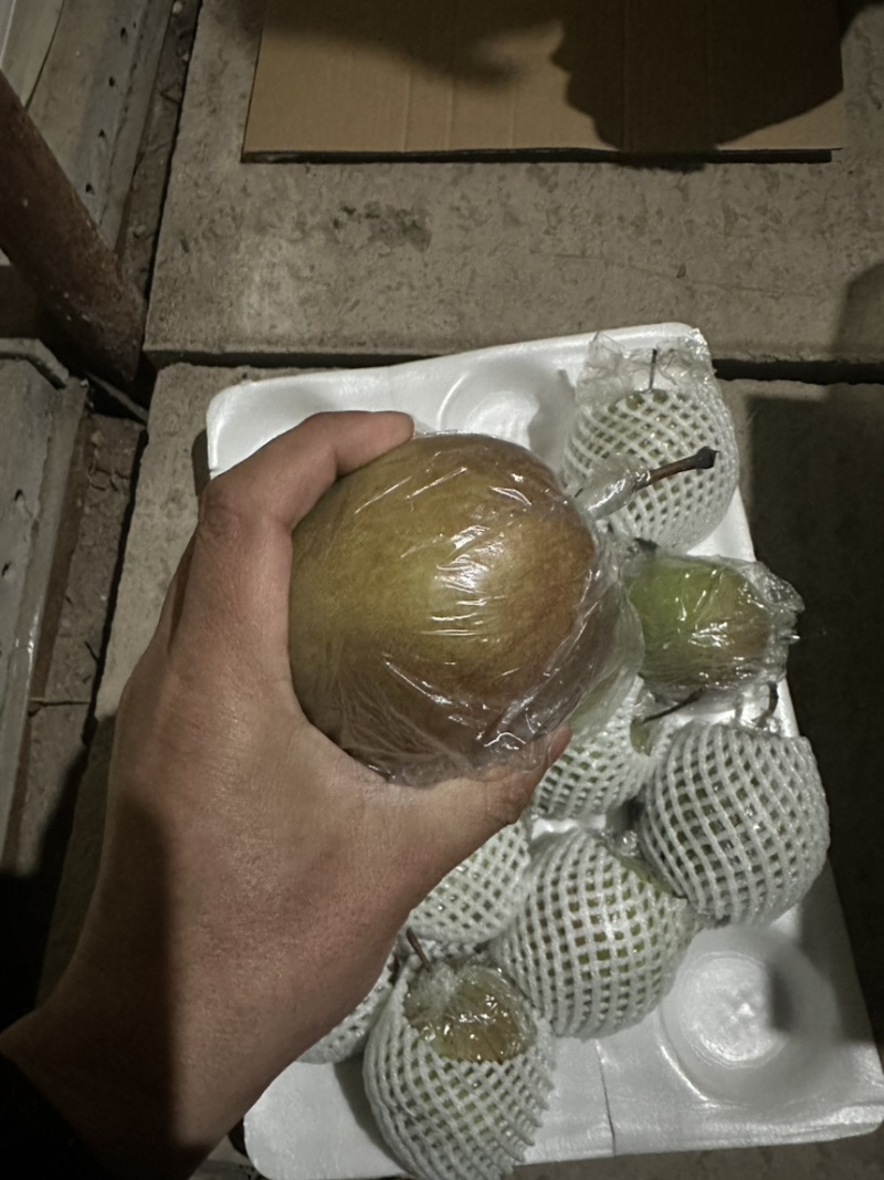 【精品】河北玉露香梨，无坏果黑心，产地直供，货源充足