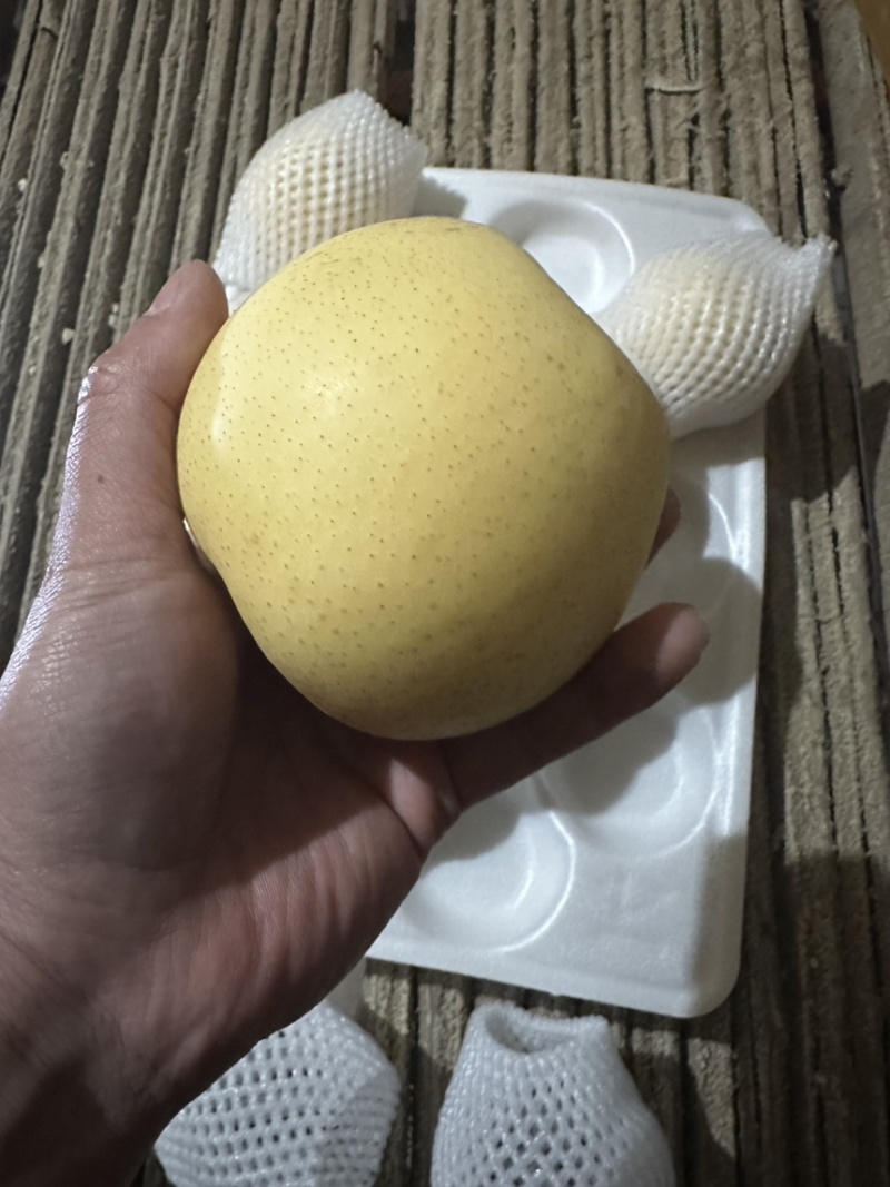 【精品】河北皇冠梨，产地直发，对接商超、电商、市场