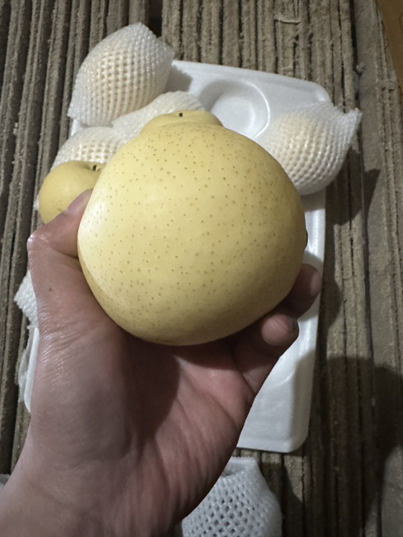 【精品】河北皇冠梨，产地直发，对接商超、电商、市场
