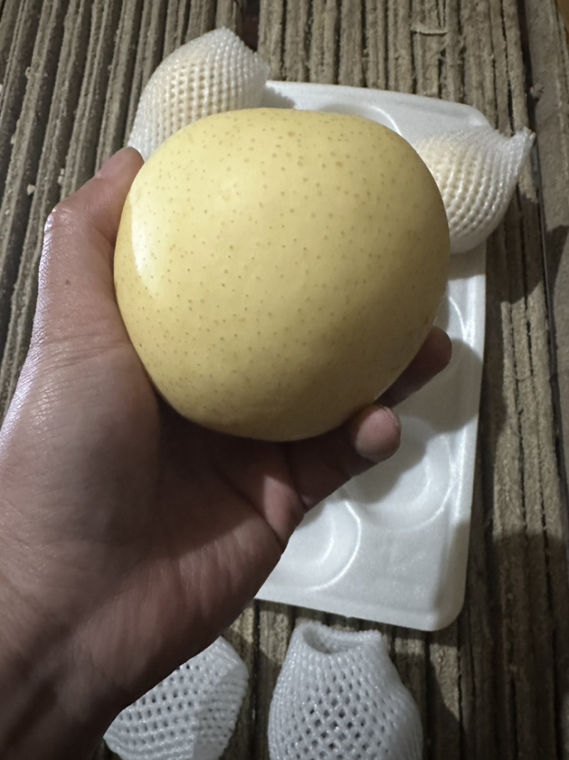 【精品】河北皇冠梨，产地直发，对接商超、电商、市场