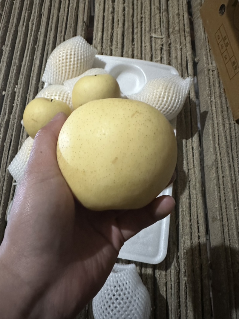 【精品】河北皇冠梨，产地直发，对接商超、电商、市场