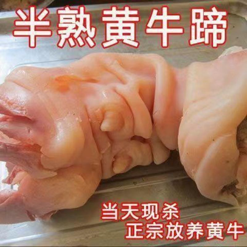【熟食牛蹄】牛蹄半熟无添加原味半熟牛蹄全去骨处理干净开袋