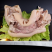 【熟食牛蹄】牛蹄半熟无添加原味半熟牛蹄全去骨处理干净开袋