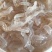 珊瑚蛰丝：口感脆爽，一手货源-电商-团购-餐饮行业**
