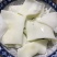 精品猪黄喉开袋即涮餐饮直供火锅食材烧烤冒菜串串去皮去油