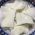 精品猪黄喉开袋即涮餐饮直供火锅食材烧烤冒菜串串去皮去油